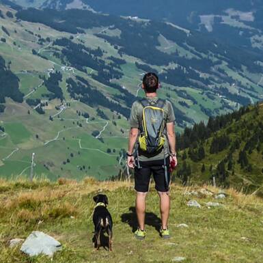 Schöne Aussichten mit Hund. | © gehlebt.at