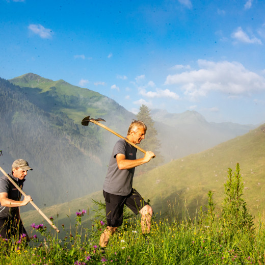 On their way to work - the trailblazers. | © Edith Danzer
