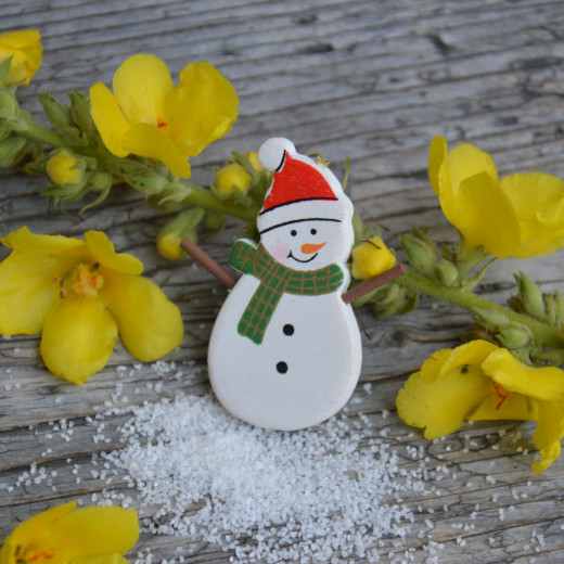 The great mulleins are analyzed | © Susanne Mitterer