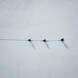 Skitour | © MT Experts 